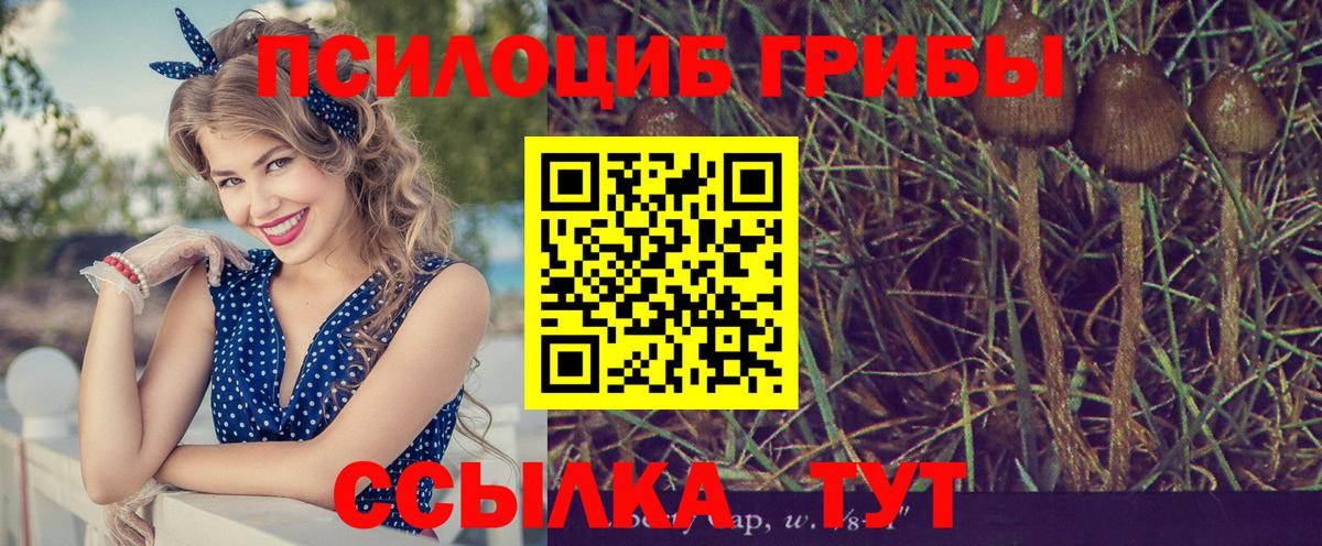 Псилоцибиновые грибы мухоморы  Вход с VPN  Семёнов 