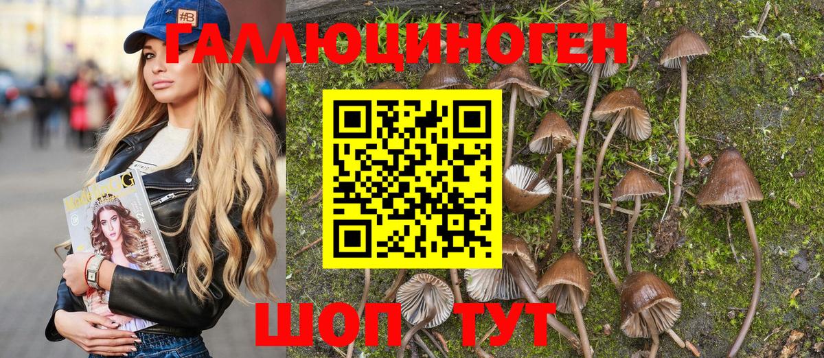Галлюциногенные грибы Psilocybe Семёнов